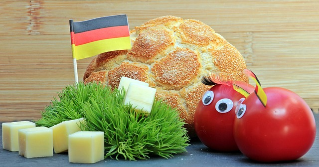 新政府不仅 新政府不仅