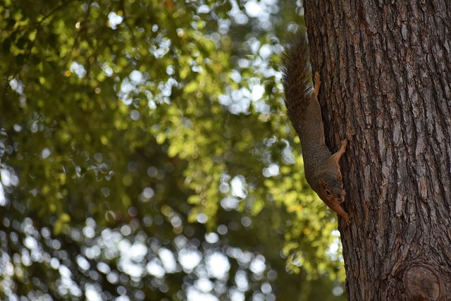 队未来的发 队未来的发