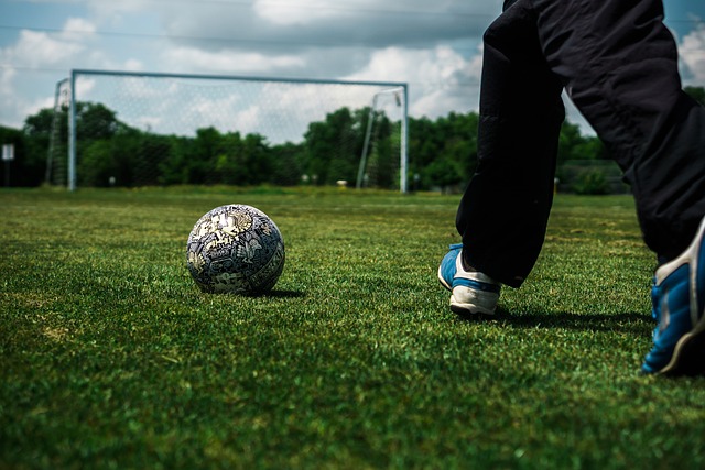 标准的足球 标准的足球