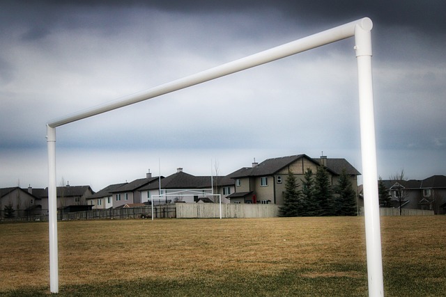 不同国家的 不同国家的