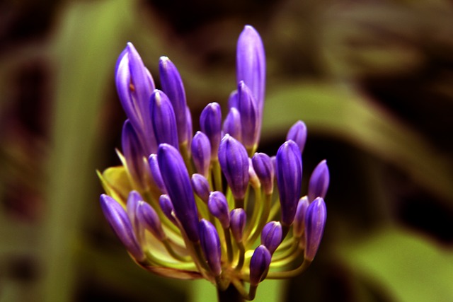 逆轉摩洛哥 逆轉摩洛哥