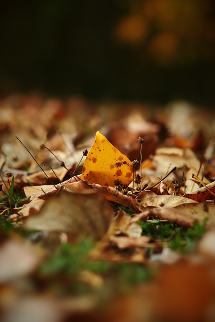 丘索维金娜 丘索维金娜