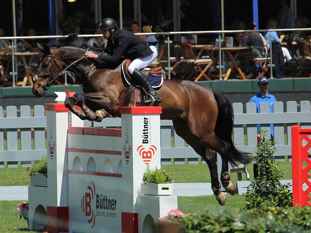 球员有所启 球员有所启