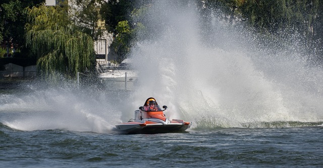 甸甸的冠軍 甸甸的冠軍