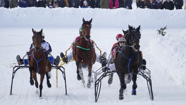 即便競爭激 即便競爭激