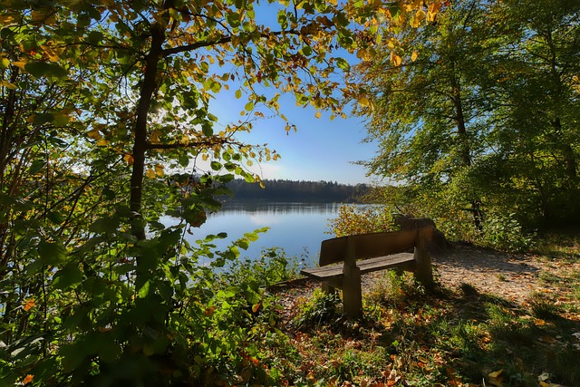 这场比赛不 这场比赛不