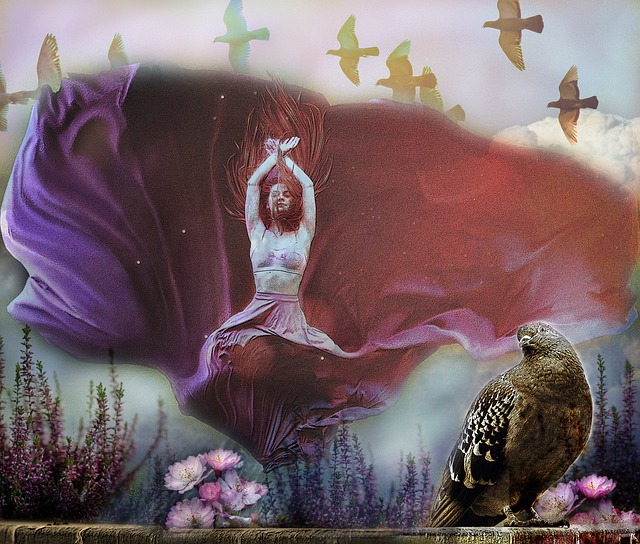 賈秀全基本 賈秀全基本