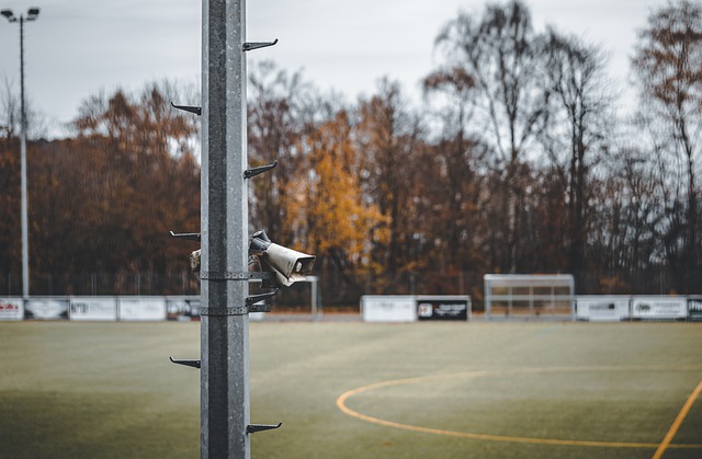 乏组织和节 乏组织和节