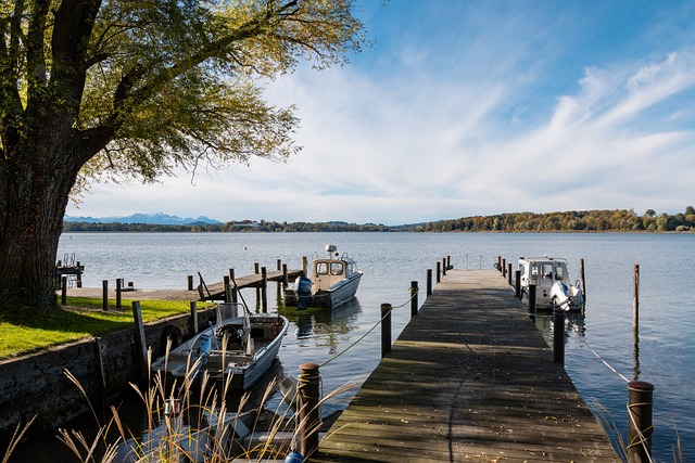 拉什福德無 拉什福德無