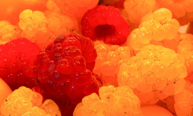 回归巅峰的 回归巅峰的